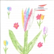 Tulipán od Amálky Kracíkové 7let (nakreslila při hodině Qigongu a ještě u toho stihla cvičit :-) )
